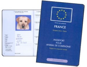 passeport chien 